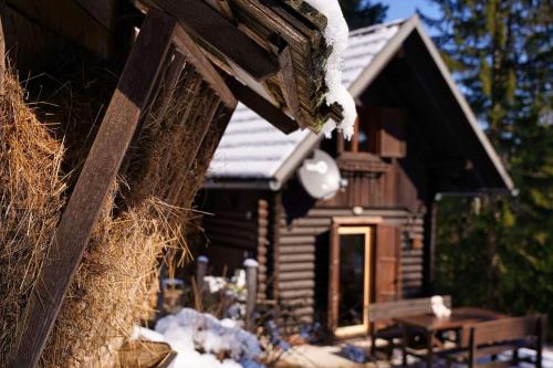 Зовнішній вигляд готелю, Chalet Slavko in Номень