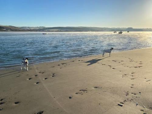 Beach, Otter's Pool Studio Apartment at Galwad Y Mor in Cardigan