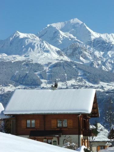 Chalet Le Paradou 3