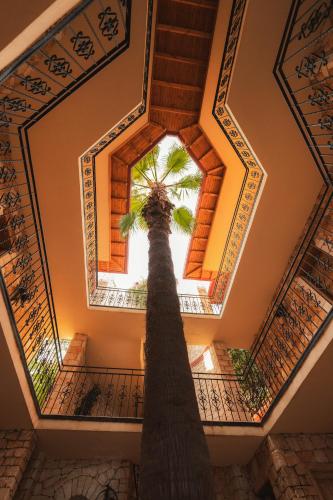 Villa Hotel Tamara - image 12