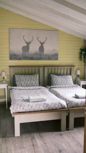 Buitenkant, Willow Lodge in West Wellow