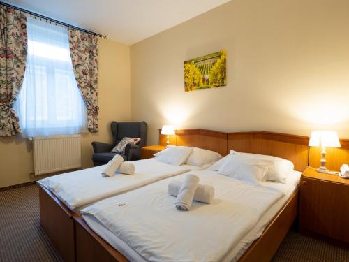Book the Standard Double Room Standard Double Room