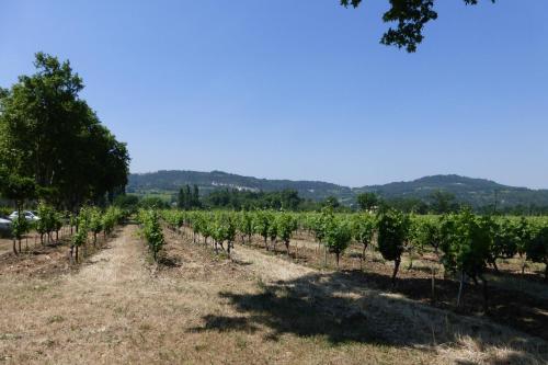 Le Leyrac photo 19