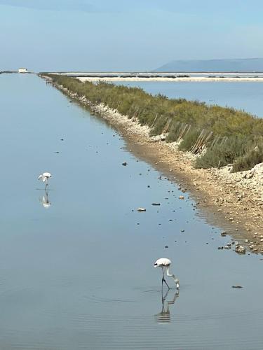 A casa di nonna Rosaria in Margherita di Savoia
