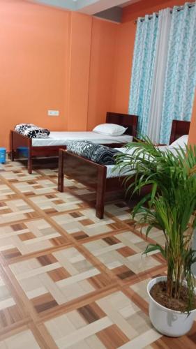 Ane Capital Homestay