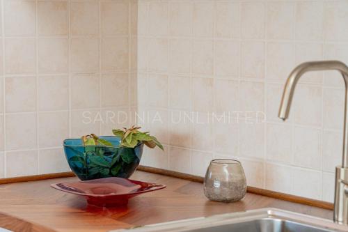 Violetta Nellie Sardinia Unlimited Violetta Nellie Sardinia Unlimited