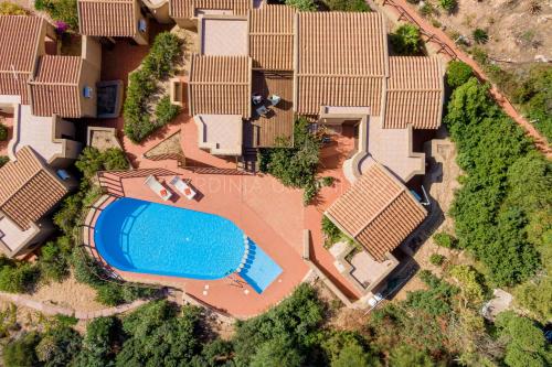 Violetta Nellie Sardinia Unlimited Violetta Nellie Sardinia Unlimited