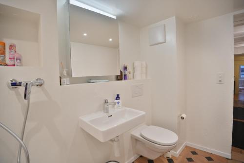 Cozy City Center, 4 Bedroom, New Kitchen, 120sq, 5min walk to Main Station, Basilea (foto 9)