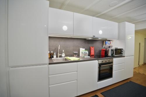 Cozy City Center, 4 Bedroom, New Kitchen, 120sq, 5min walk to Main Station, Basilea (foto 6)
