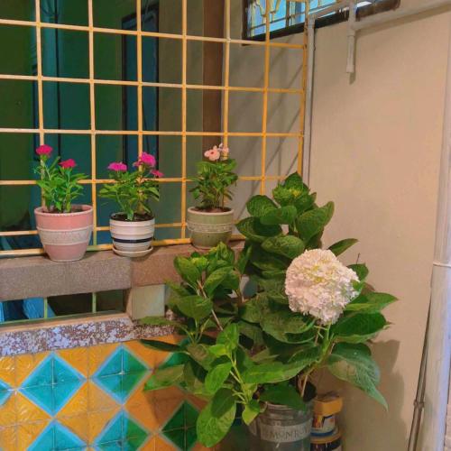 Nâu nhỏ Homestay
