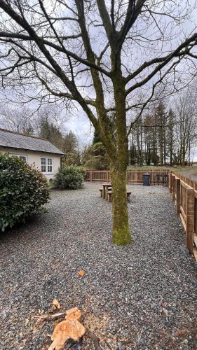 Wrens Nest – Newton Stewart