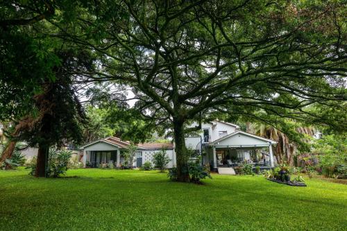 A környék, Macadamia Boutique Living in Spring Völgy