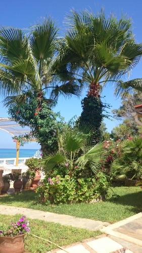 Villa in the sea Crete, Stavros (photo 2)