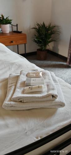 2 twin beds