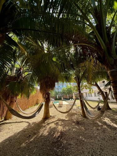 Casa Caimán (Casa Caiman) in 普拉亞德爾卡曼