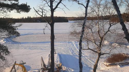 Lakefront Cottage on Spruce Lake near Kenora in كينورا(اون)