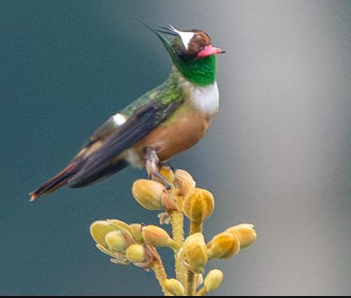 Hacienda Las Vainillas Boutique Hotel