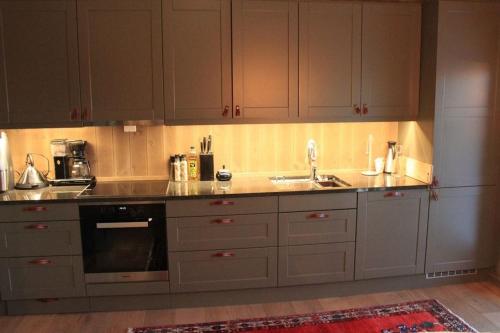 Hafjelltoppen-New apartment with a beautiful view and high standard in เออเยร์