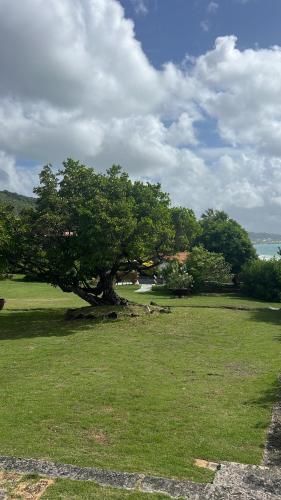 Les Lauriers du Rocher 1 4