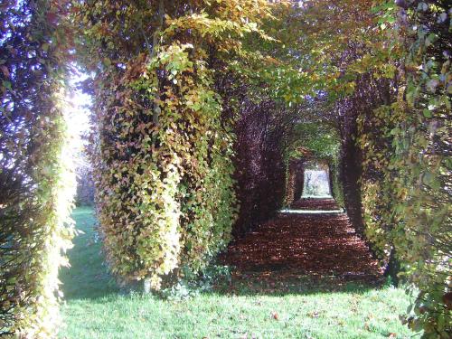 Chambres d'hôtes & Gîtes du Château de Grand Rullecourt