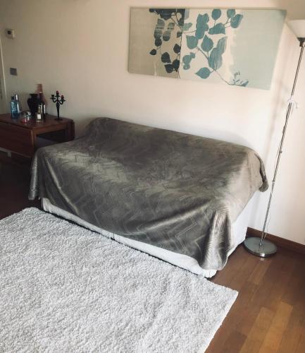 Camera privata con bagno su appartamento condiviso, Benátky (fotografie 5)