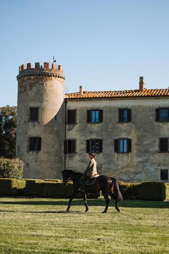 Castello, Lucignano (foto 3)