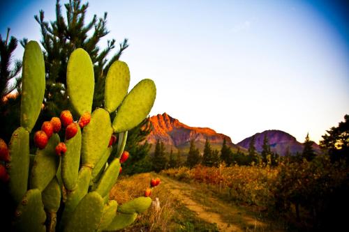 Modderkloof Farm Accommodation Paarl