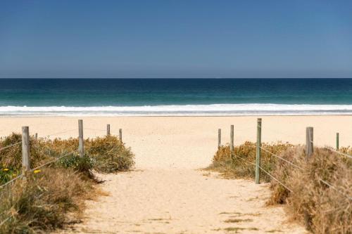 3 Melaleuca in Boomerang Beach