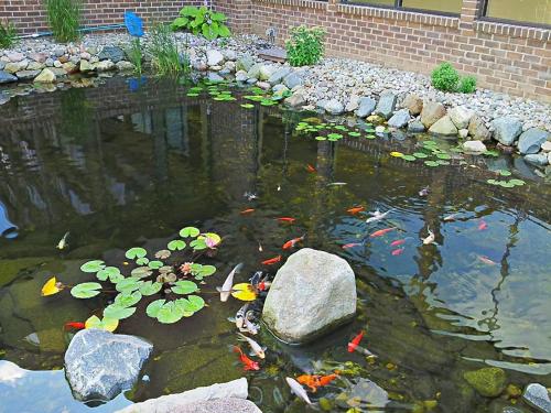 Causeway Bay Hotel in Lansing, USA