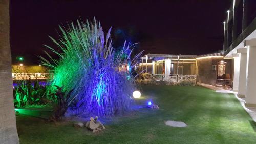 trädgård, Hotel Vinas del Sol in San Juan