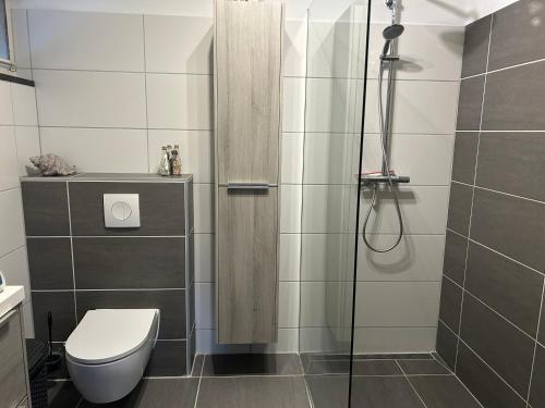 fijne vakantie woning in Zeeland in Kamperland