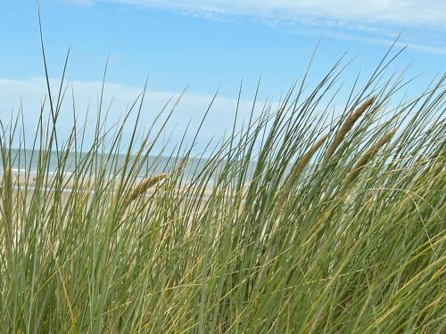 fijne vakantie woning in Zeeland in Kamperland