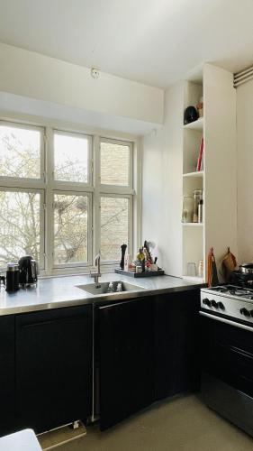 ApartmentInCopenhagen Apartment 1679, Kodaň (fotografie 9)
