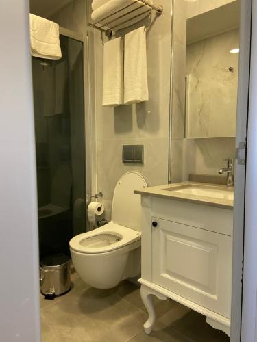Istanbul Town Hotel, Istanbul (fotografie 6)