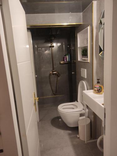 Gorgeous Mini Suite in 사페드