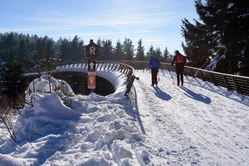 Vista exterior, Ferienwohnung Tannenblick 3-2-3-3 in Oberhof
