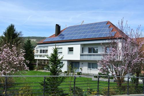 Ferienwohnung an der Wiesent - Apartment - Ebermannstadt