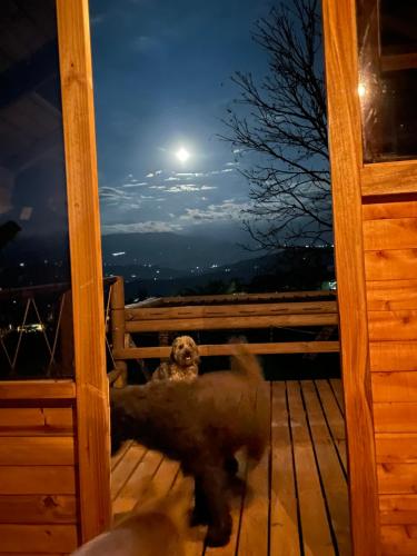 Glamping Resort Jonico Finca in Marsella