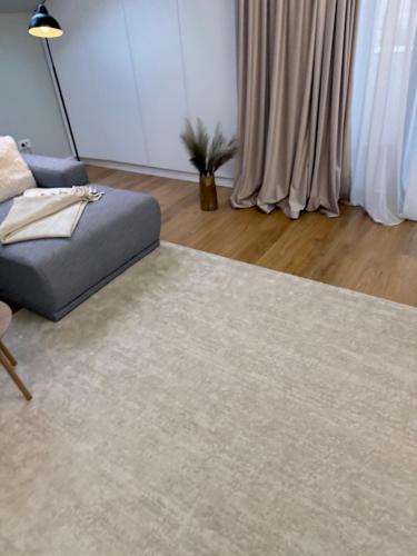 Deluxe One-Bedroom Apartment image 10