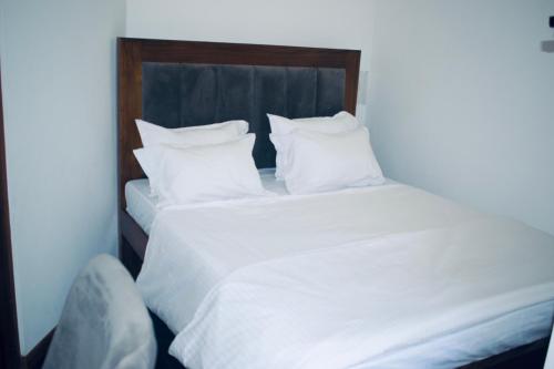 Vivid Colombo - image 8