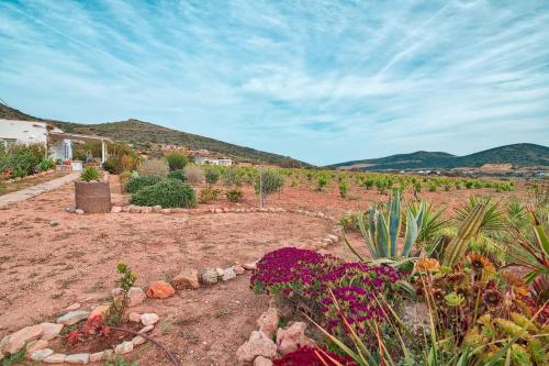 Villa Amalia at Campos Antiparos in 安蒂帕羅斯