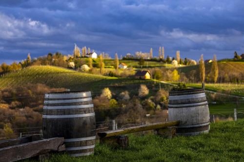 Apartments Narcisa Apartments Narcisa