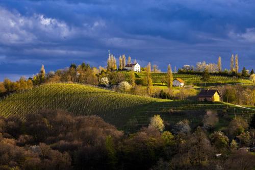 Apartments Narcisa Apartments Narcisa