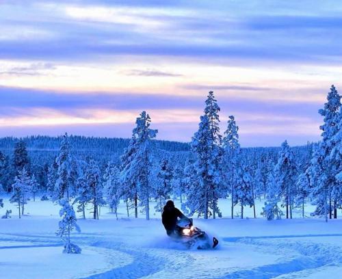 Holiday in Lapland near Lyckselei repülőtér