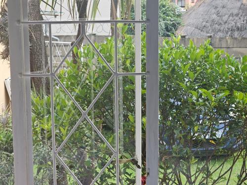 J&m Guesthouse - Johannesburg