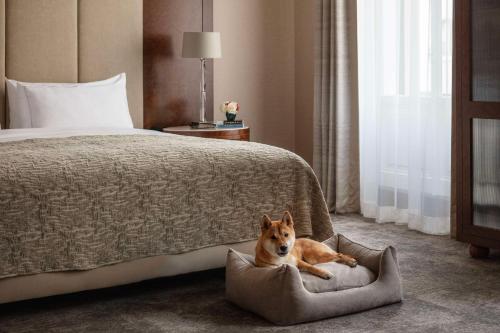 Palais Hansen Kempinski Vienna - image 9