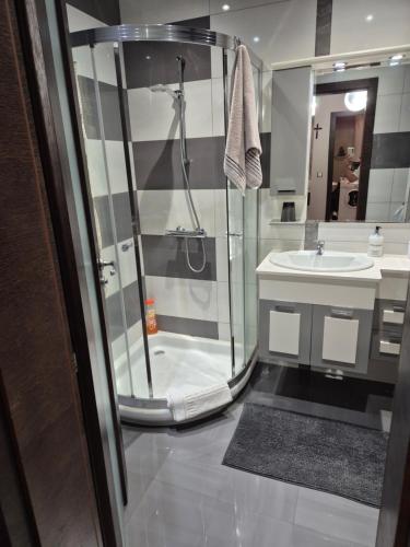 Апартамент Мегилукс, Blagoevgrad (foto 9)