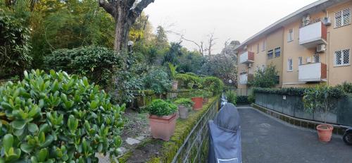 Vatican Firefly House, Rom