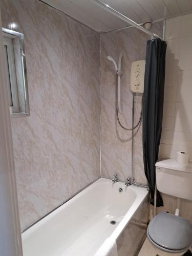 Conwy Valley Hotel - image 8