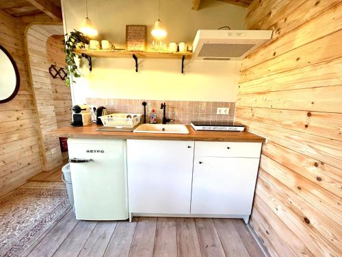 New Charming Scandinavian eco house with garden and jacuzzi in Boerhaavewijk